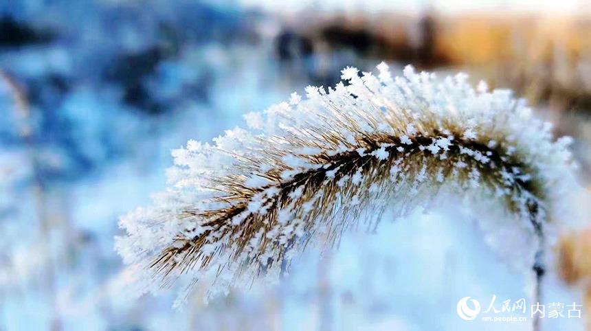 雪景如畫。蔣希武攝