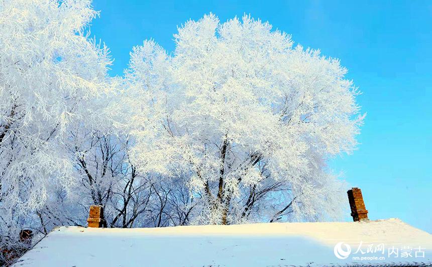 雪景如畫。蔣希武攝