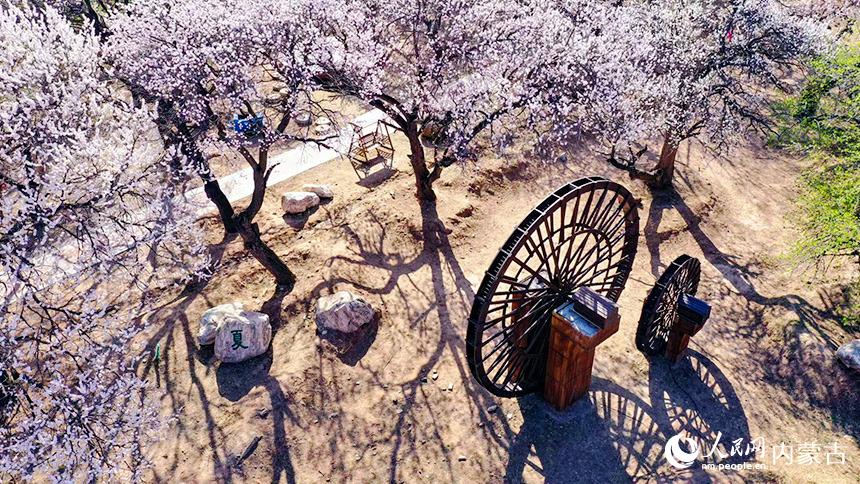 ͺл^(q)؈Dӻʢהz