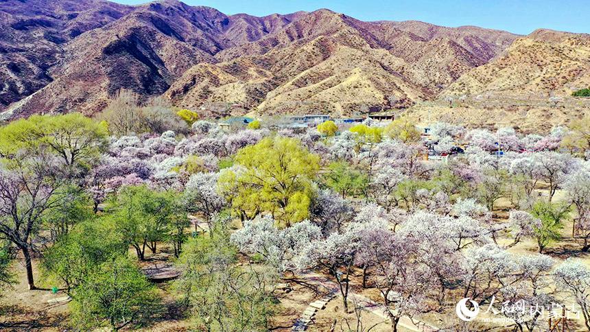 ͺл^(q)؈Dӻʢţ(l)הz