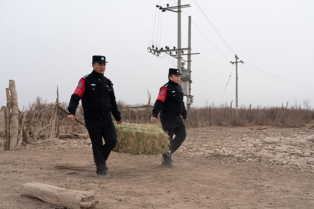 民警幫助牧民搬運(yùn)草料。