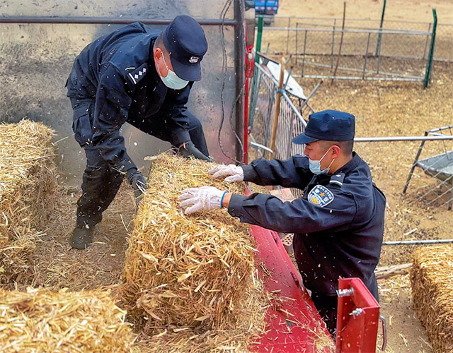 民警們幫助牧民卸草料。