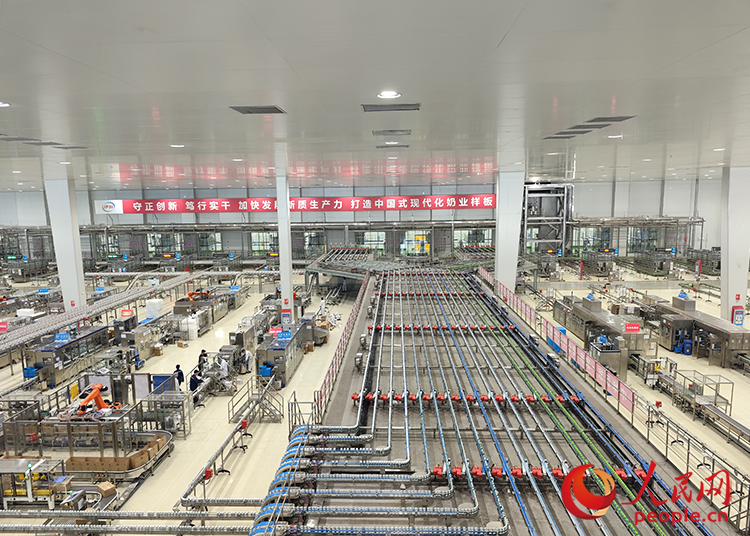 伊利健康谷液態(tài)奶全球智造標(biāo)桿基地內(nèi)，一盒盒牛奶在生產(chǎn)線上“疾馳”。人民網(wǎng)記者趙夢月攝