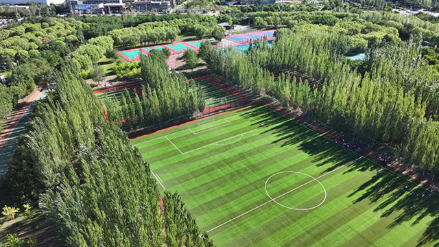 奧林匹克公園運動場地