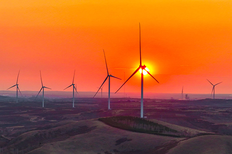 4月27日拍攝的呼倫貝爾市阿榮旗向陽(yáng)峪鎮(zhèn)風(fēng)力發(fā)電場(chǎng)景色（無(wú)人機(jī)照片）。王正攝