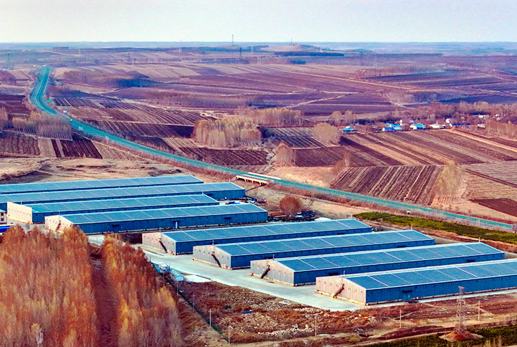 4月27日拍攝的呼倫貝爾市阿榮旗糧食收儲(chǔ)庫(kù)屋頂光伏發(fā)電站景色（無(wú)人機(jī)照片）。王正攝