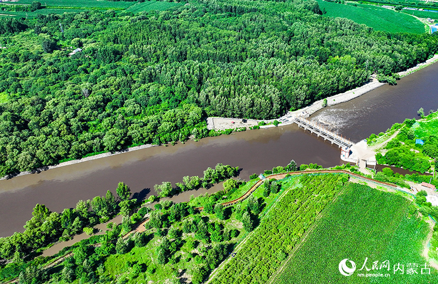 洮兒河國家濕地公園景色。王正攝