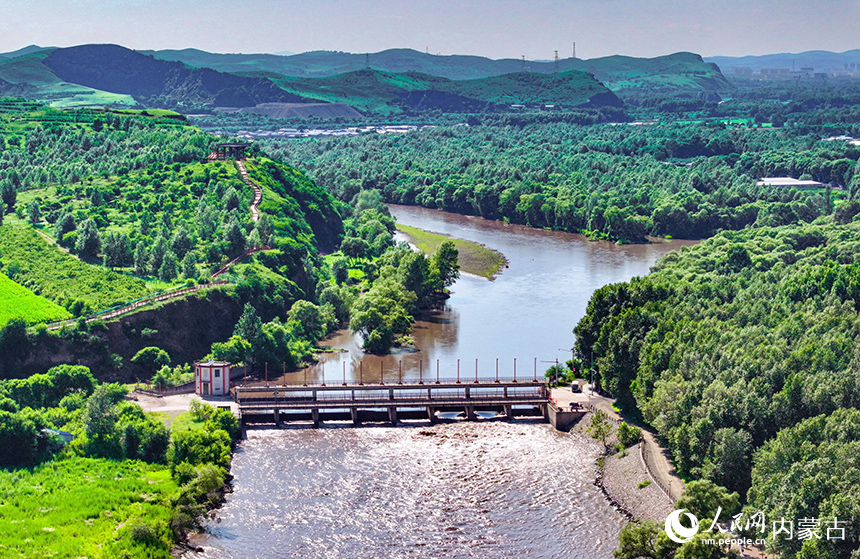 洮兒河國家濕地公園景色。王正攝