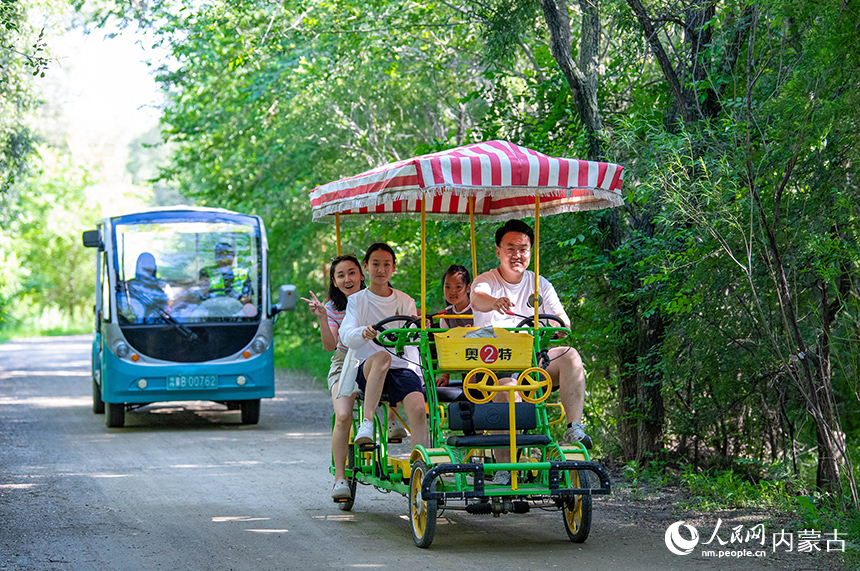 游人在洮兒河國(guó)家濕地公園騎車(chē)游覽。王正攝