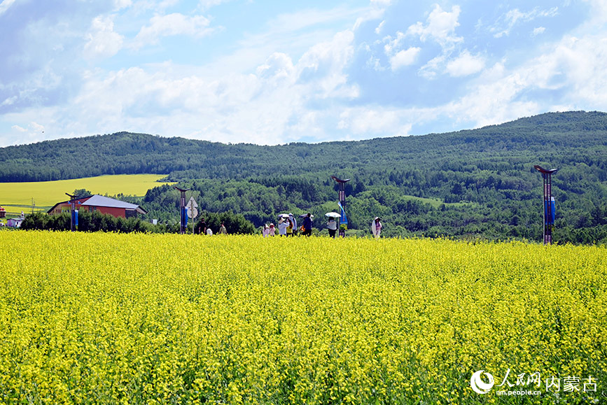 游客在油菜花田游覽。實(shí)習(xí)生 張雅新攝