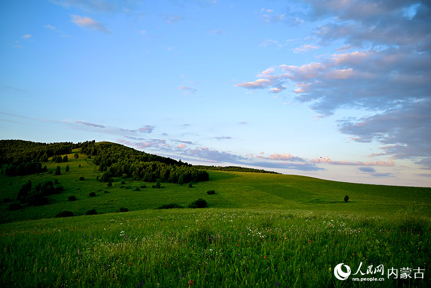 免渡河國(guó)家濕地公園內(nèi)一處。實(shí)習(xí)生 張雅新攝