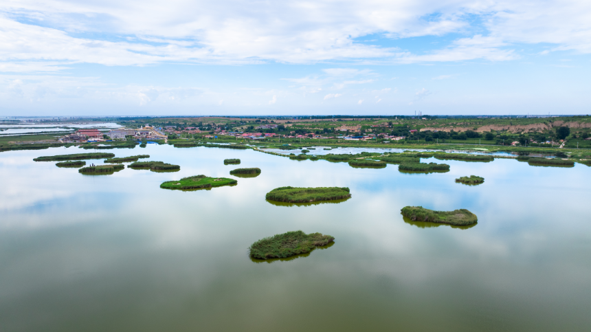 航拍視角下的托克托縣南湖，碧水之上，一簇簇茂盛的蘆葦蕩隨風搖曳，點綴出濕地的盎然生機。張瑋攝