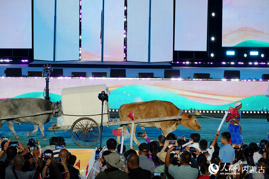 開幕式現(xiàn)場。實習(xí)生 王正玉攝