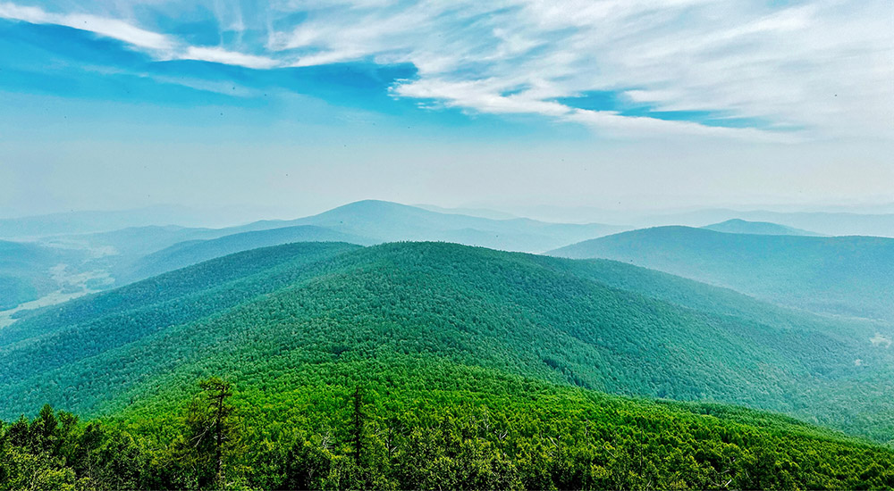 圖博勒國家森林公園