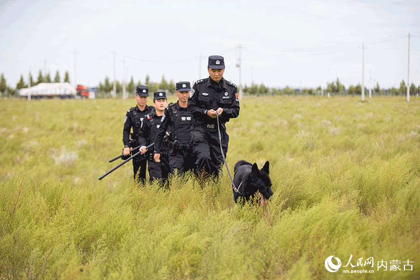 訓(xùn)導(dǎo)員組織警犬進行追蹤科目訓(xùn)練。郭鵬杰攝