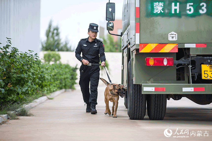 訓(xùn)導(dǎo)員組織警犬進(jìn)行車體搜爆訓(xùn)練。郭鵬杰攝