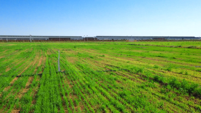 飼料種植區(qū)