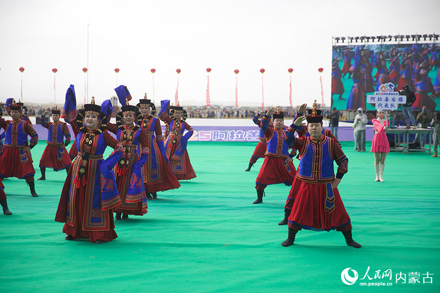 活動現(xiàn)場。人民網(wǎng)記者 齊浩男攝