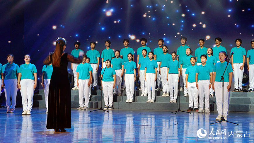 晚會演出現(xiàn)場。人民網(wǎng)記者 齊浩男攝