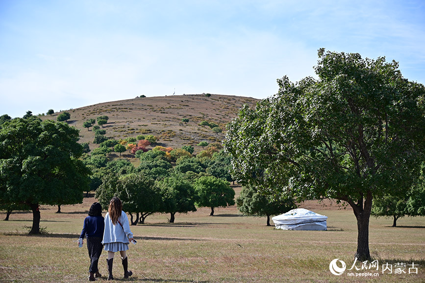 游客在五角楓生態(tài)旅游景區(qū)漫游。人民網(wǎng)記者 寇雅楠攝