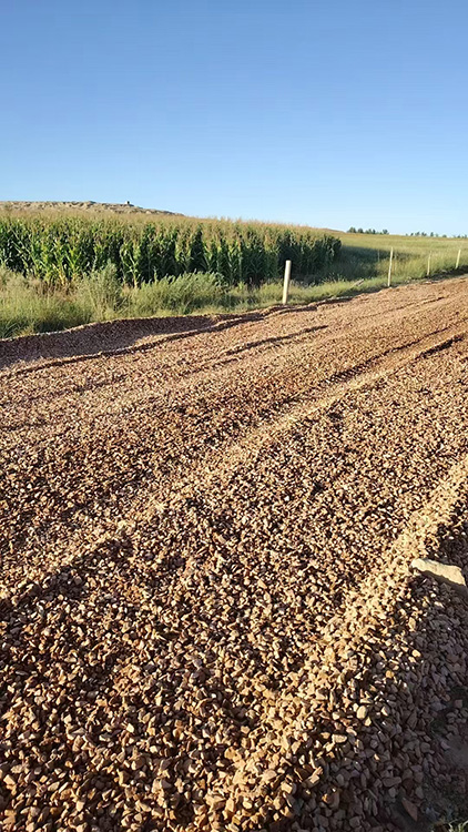 對(duì)破損路面開展填補(bǔ)修復(fù)工作。杭錦旗相關(guān)部門供圖