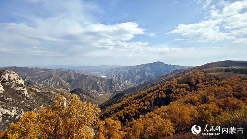 武川縣哈達(dá)門景區(qū)中的美麗秋景。人民網(wǎng)記者 張雪冬攝