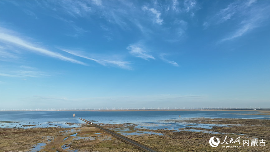 曾經(jīng)“片片鹽堿白茫茫”的荒蕪如今煥新顏。鄭中輝攝
