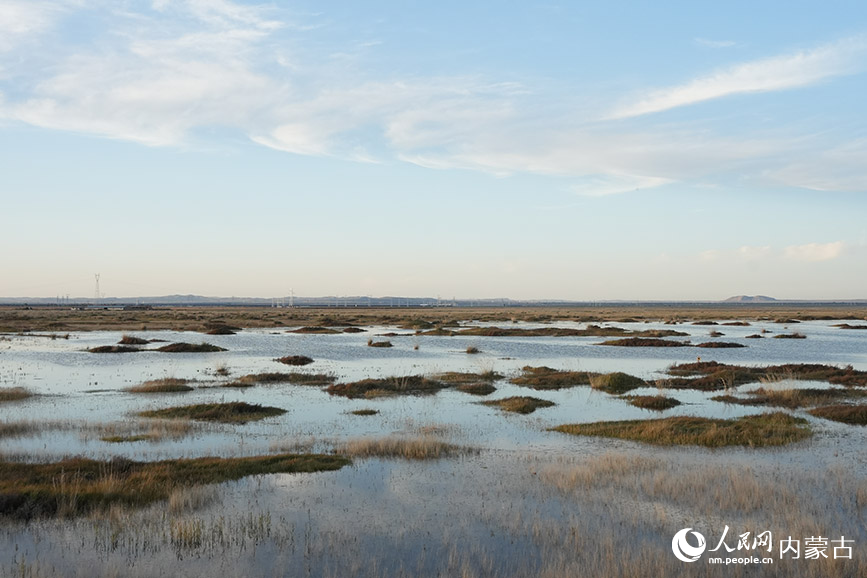 商都察汗淖爾國家濕地公園的秋景。人民網(wǎng)記者 苗陽攝