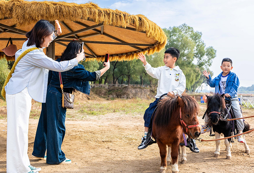10月4日，呼和浩特市玉泉區(qū)林下郊野萌寵樂園，小朋友騎矮馬游覽。丁根厚攝