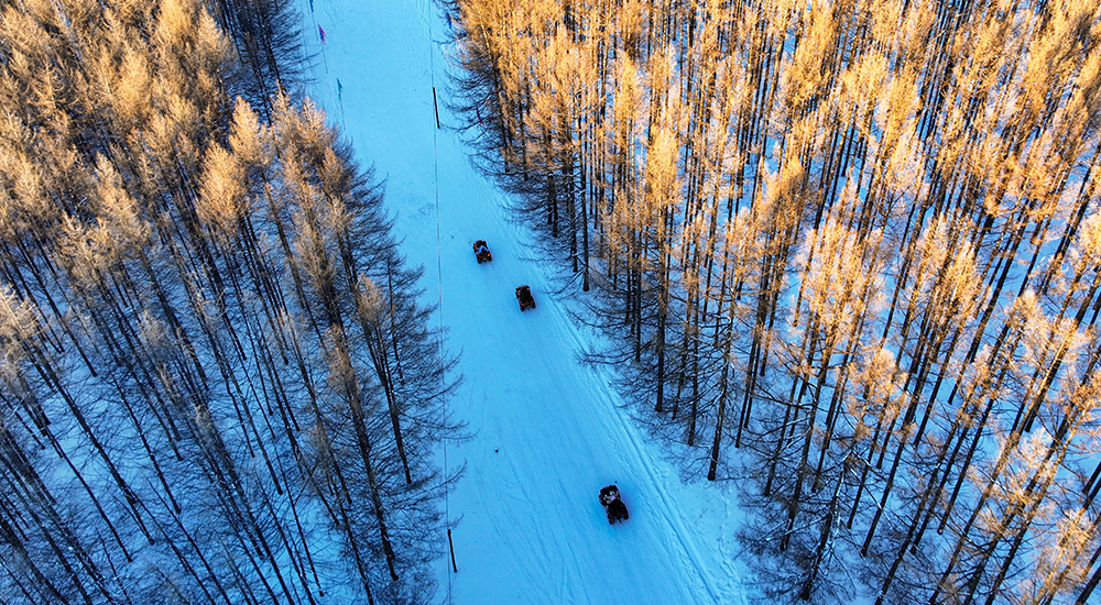 游客在阿爾山叢林秘境穿越