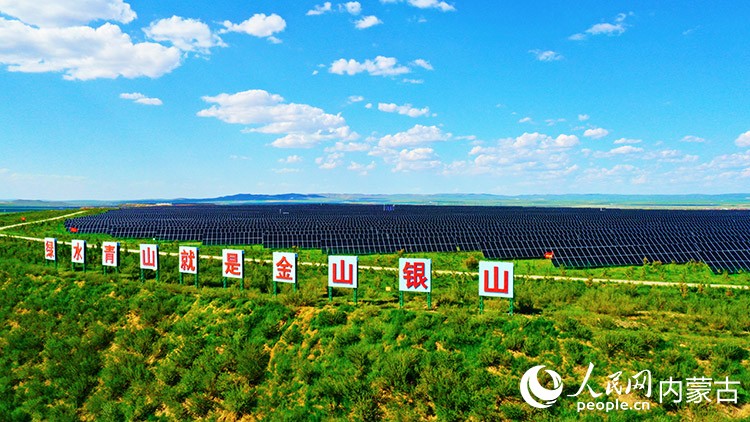 國(guó)能北電勝利能源有限公司勝利一號(hào)露天煤礦排土場(chǎng)復(fù)墾區(qū)。受訪者供圖