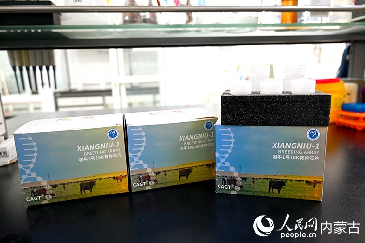 實驗室里的“相牛1號10K液相育種芯片”試劑盒。人民網(wǎng)記者 劉藝琳攝