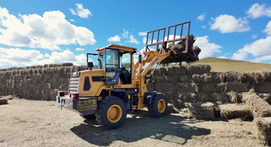 烏拉蓋管理區(qū)賀斯格烏拉牧場(chǎng)牧民楊曉炯家豐收的牧草堆成了整齊的“草墻”。