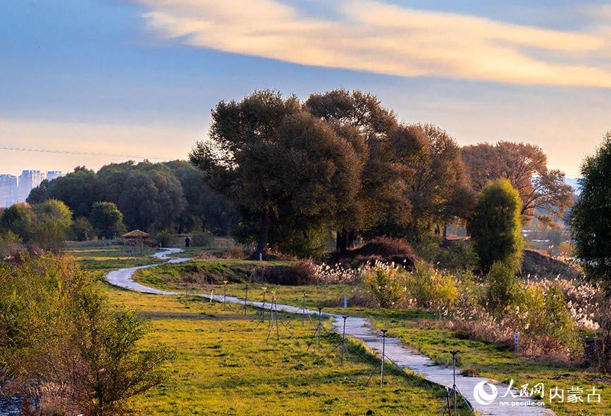10月20日，呼和浩特市玉泉區(qū)大黑河郊野公園秋意正濃、景美如畫。丁根厚攝