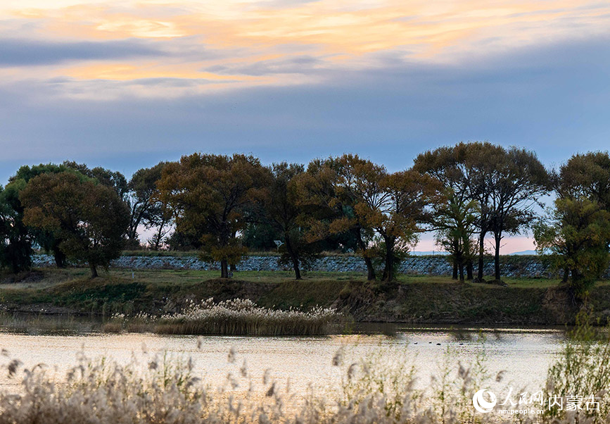 10月20日，呼和浩特市玉泉區(qū)大黑河郊野公園秋意正濃、景美如畫。丁根厚攝