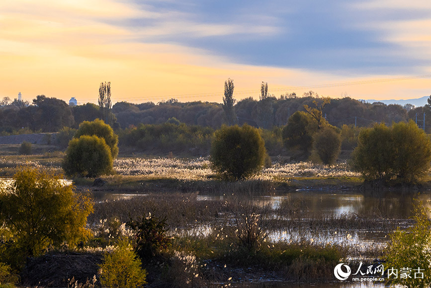 10月20日，呼和浩特市玉泉區(qū)大黑河郊野公園秋意正濃、景美如畫(huà)。丁根厚攝
