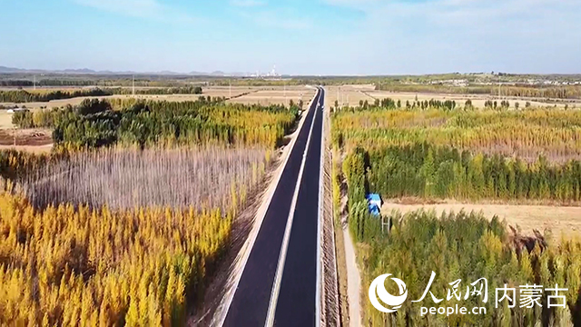 查草高速。自治區(qū)交通運(yùn)輸廳供圖