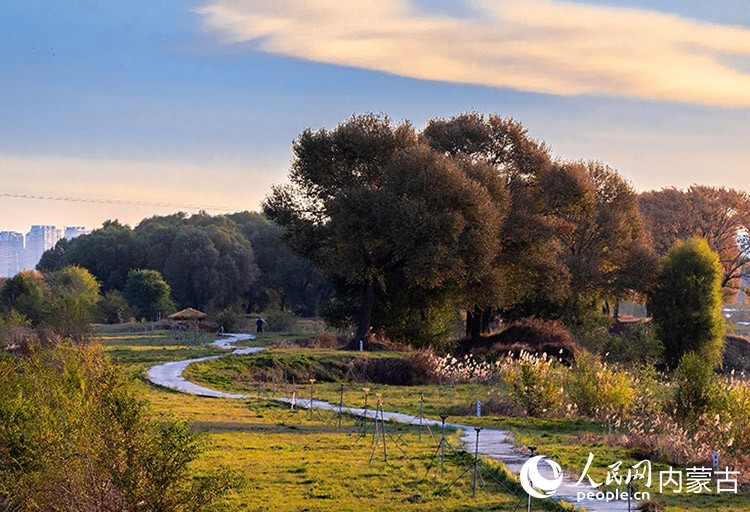 呼和浩特市大黑河郊野公園秋意正濃、景美如畫。丁根厚攝