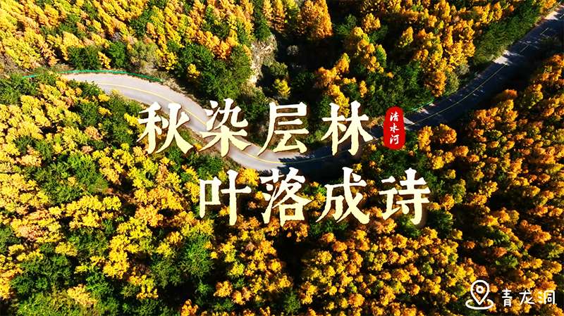 青龍洞：秋染層林，葉落成詩