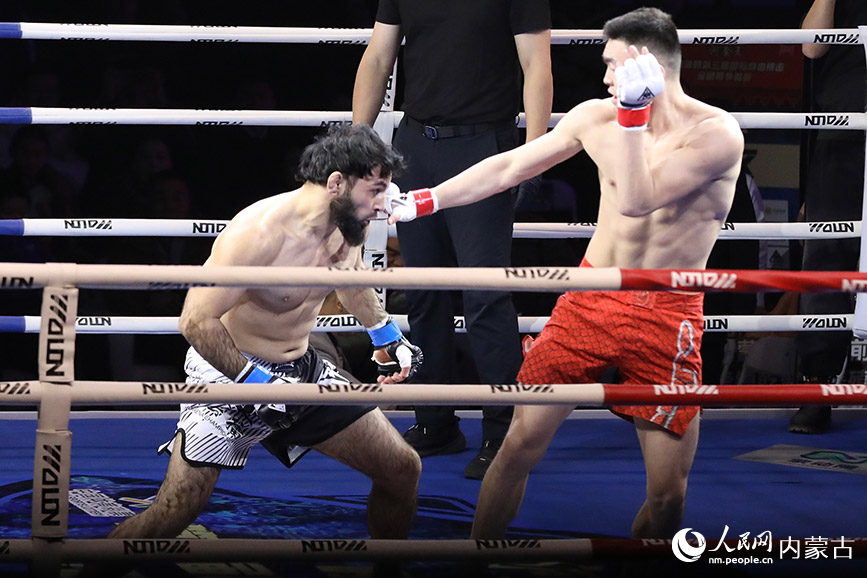 比賽現(xiàn)場(chǎng)。人民網(wǎng)記者 齊浩男攝