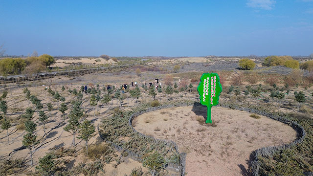 秋冬季義務(wù)植樹(shù)造林進(jìn)行時(shí)。王琪攝