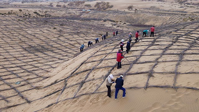 農(nóng)牧民參與以工代賑，筑牢生態(tài)屏障。王琪攝