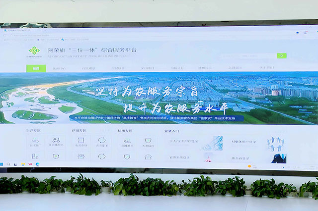 阿榮旗依托三位一體綜合服務平臺，便民利民落到實處。