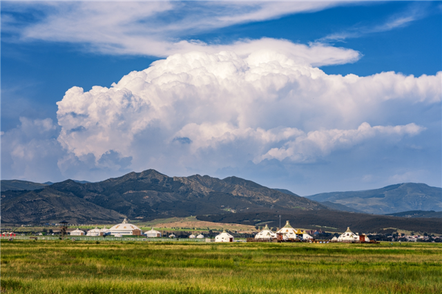 2025年夏天的敕勒川草原。