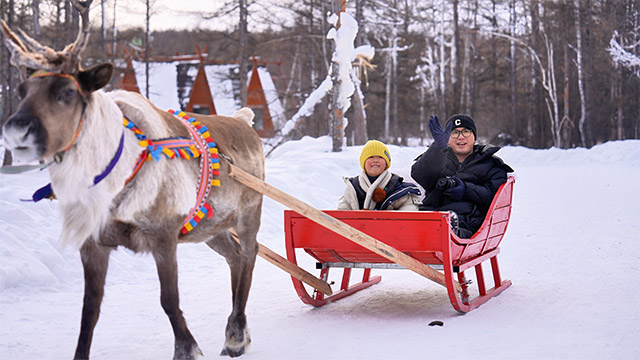 敖鄉(xiāng)鹿苑游客帶著孩子體驗馴鹿拉雪橇
