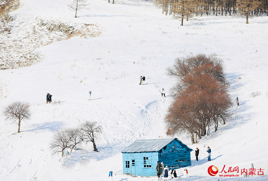 阿爾山國(guó)家森林公園。人民網(wǎng)記者 齊浩男攝