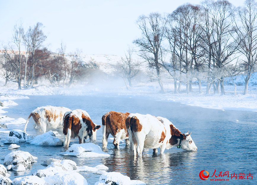 不凍河美景。人民網(wǎng)記者 齊浩男攝